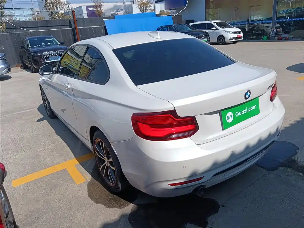 BMW 2 Series (Import) 2018 220i Sport Design Package фото 23