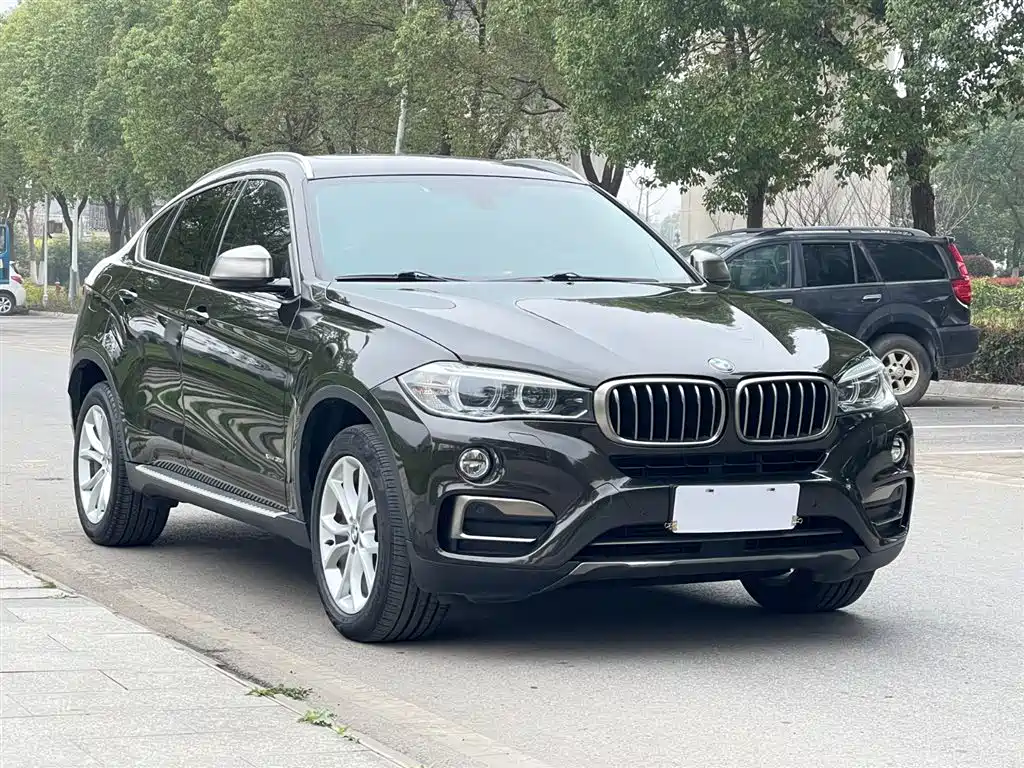 BMW X6 2017 xDrive35i Leading фото 4