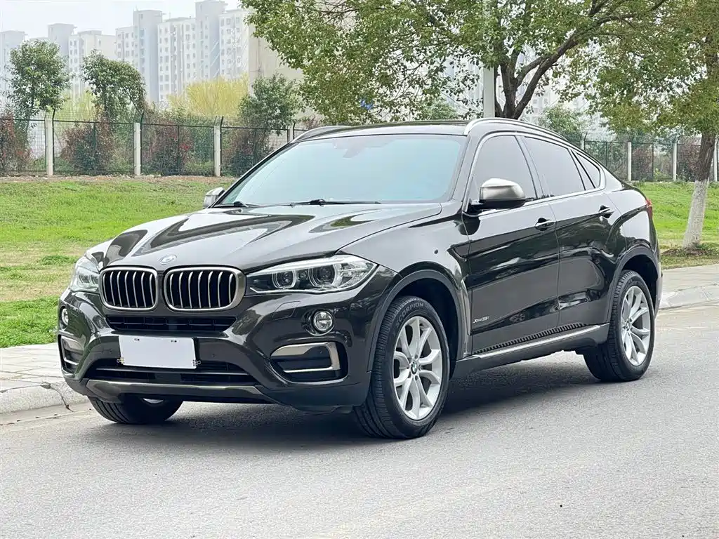 BMW X6 2017 xDrive35i Leading фото 2