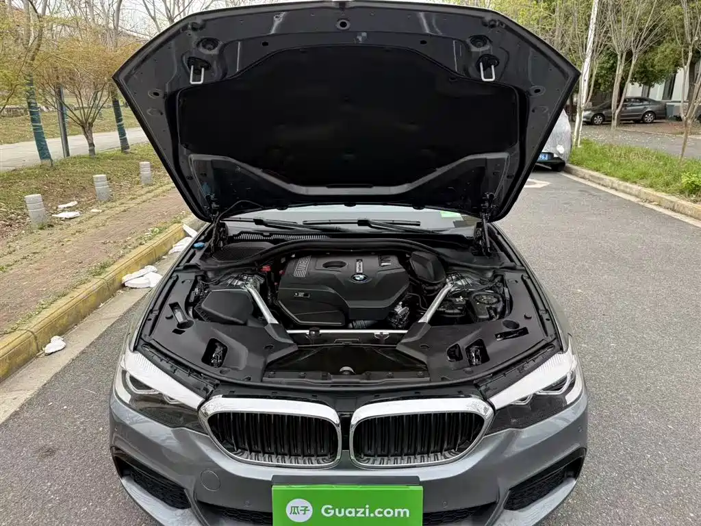 BMW 5 Series (Import) 2019 Facelift 525i M Sport Package фото 11