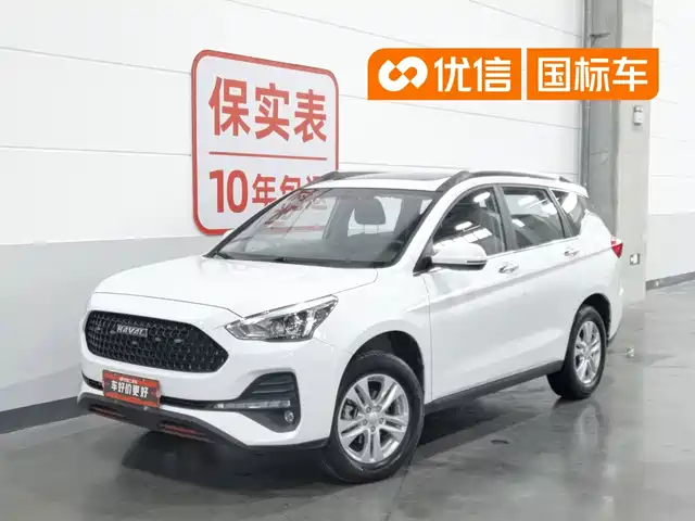  Haval Haval M6 2019 1.5T Manual 2WD Elite Type China VI