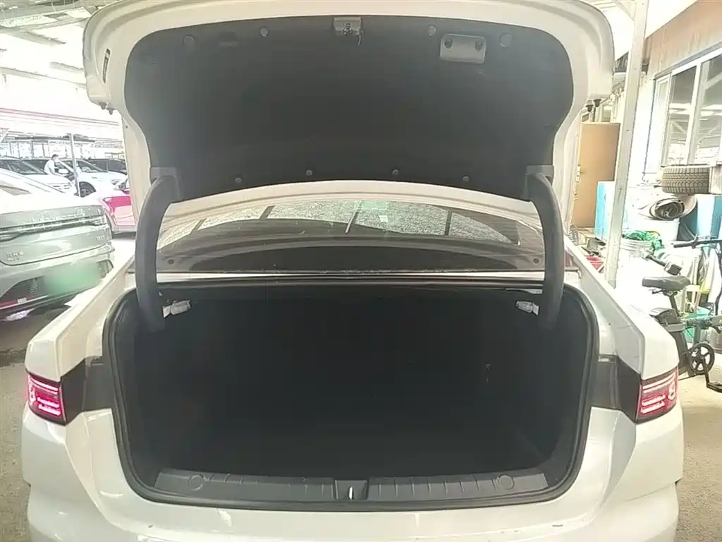 BYD Destroyer 05 2024 Glory Edition DM-i 55KM Luxury фото 19