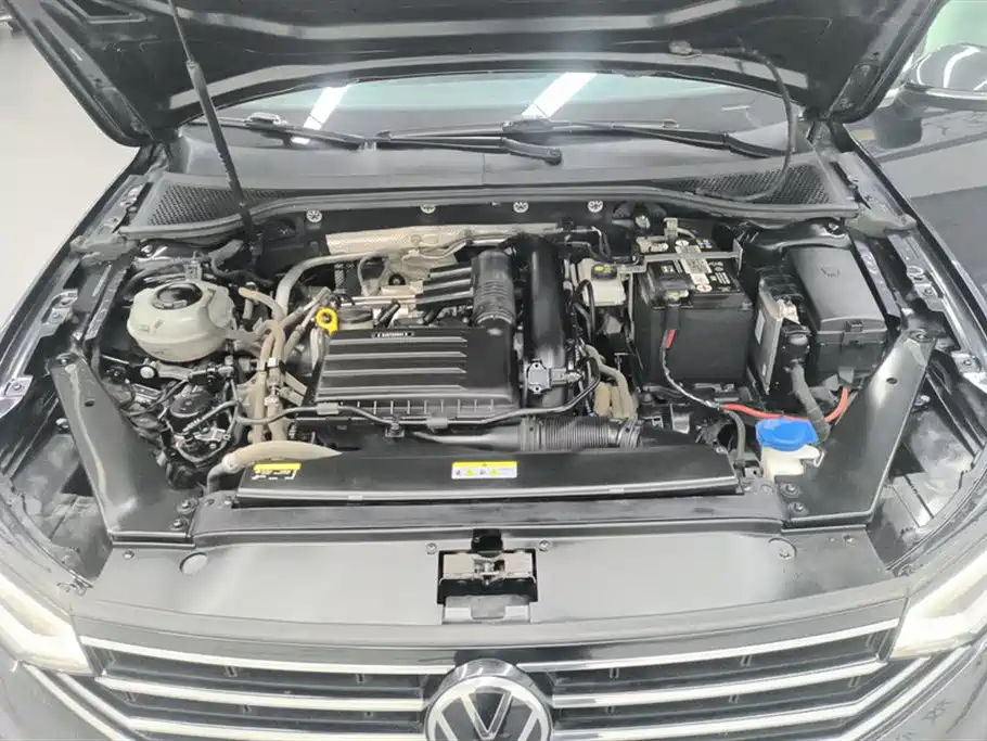 Volkswagen Magotan 2020 280TSI DSG Comfort фото 10