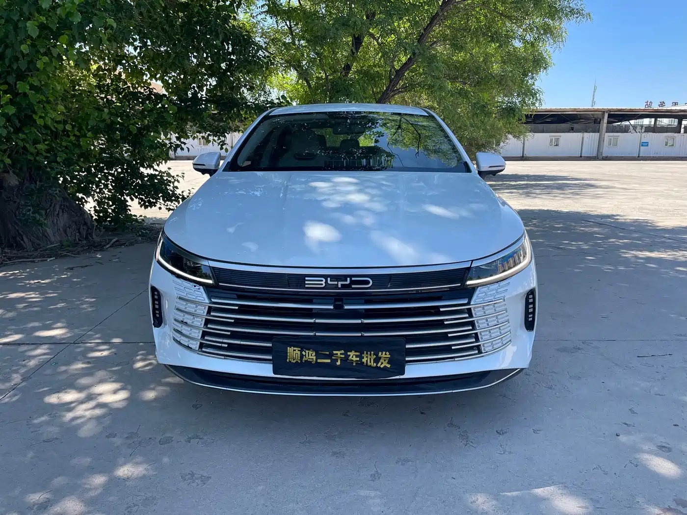 BYD Destroyer 05 2024 Glory Edition DM-i 120KM Luxury фото 2