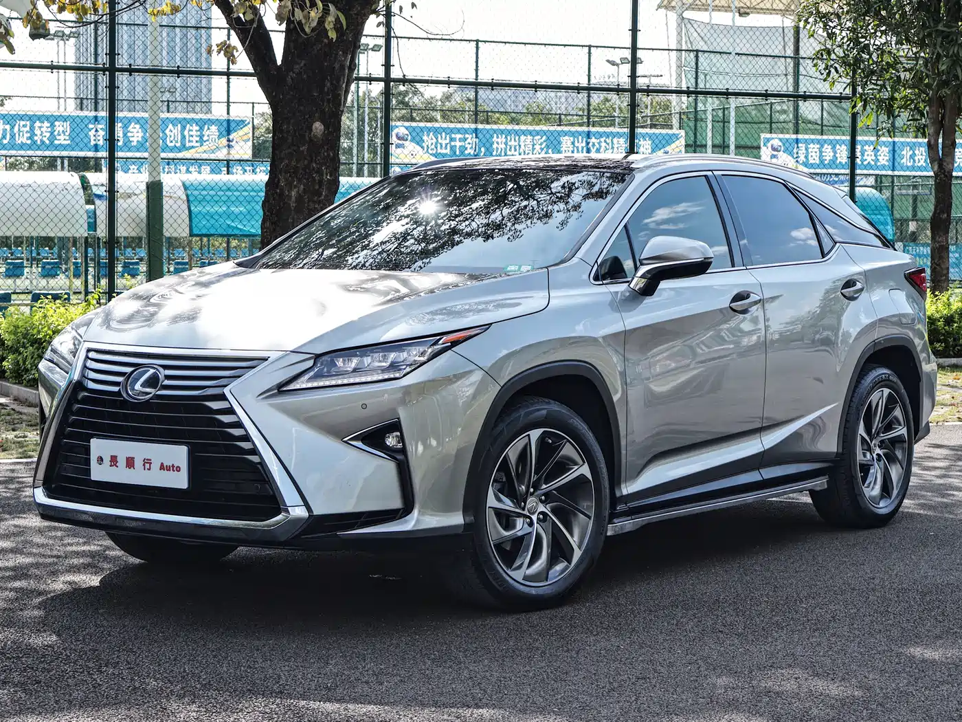 Lexus RX 2016 300 4WD Elegance Edition (China V)