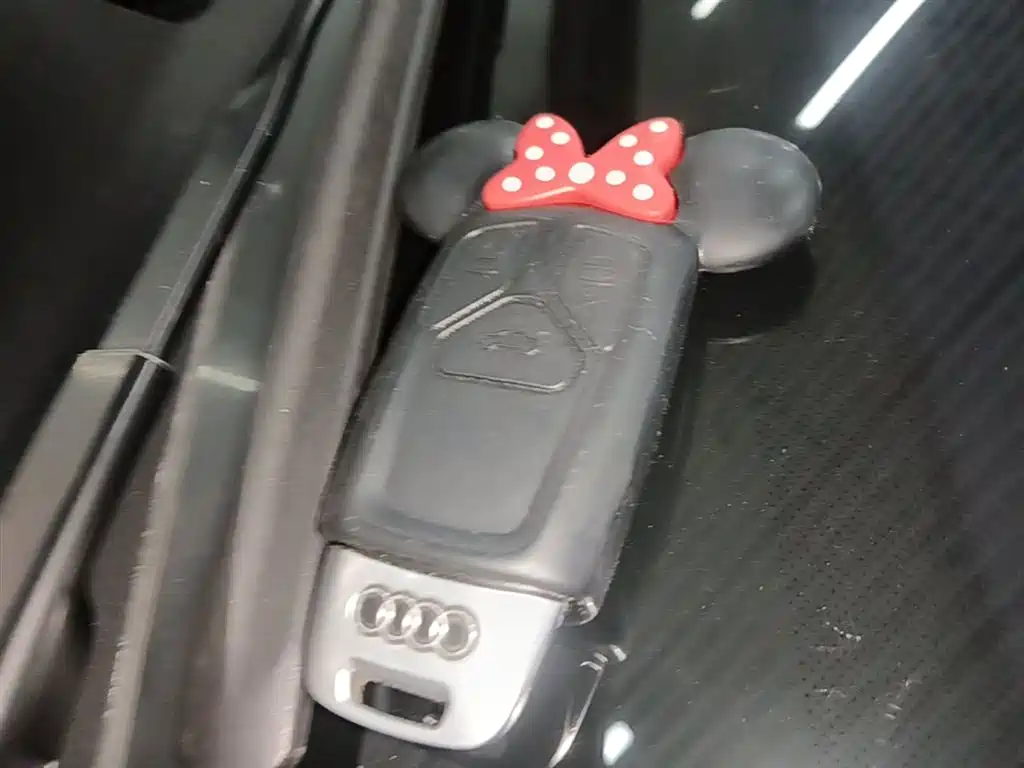 Audi Q5L 2018 40 TFSI Prestige Fashion (China V) фото 9