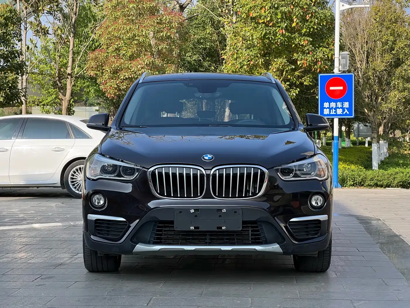 BMW X1 2018 xDrive20Li Premium Model фото 3