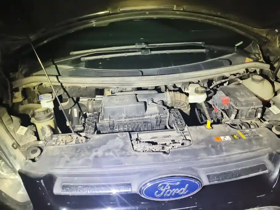 Ford Tourneo 2020 2020 2.0T Auto Jingrui Edition China VI