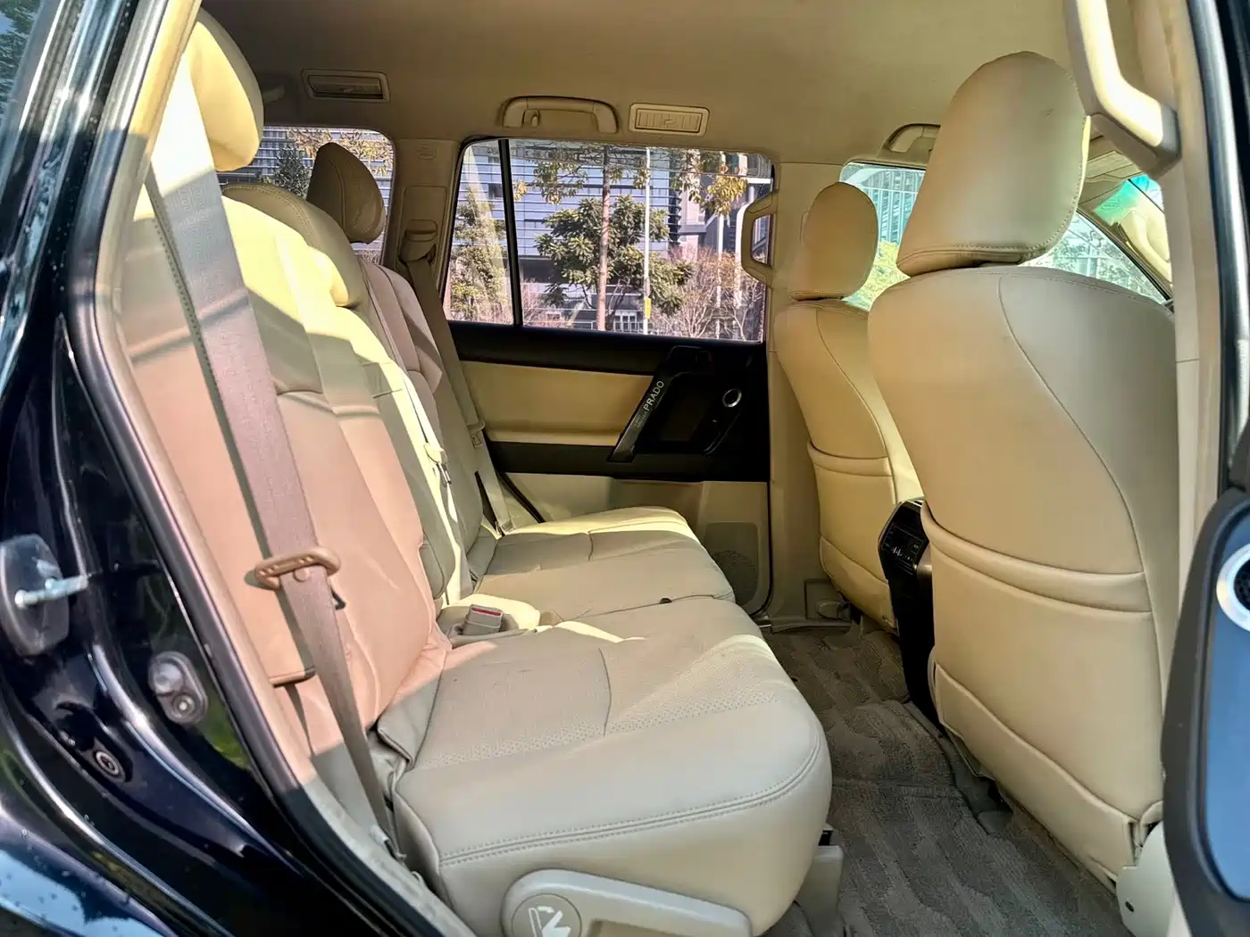 Toyota Prado (Import) 2010 2.7L Auto Luxury фото 8