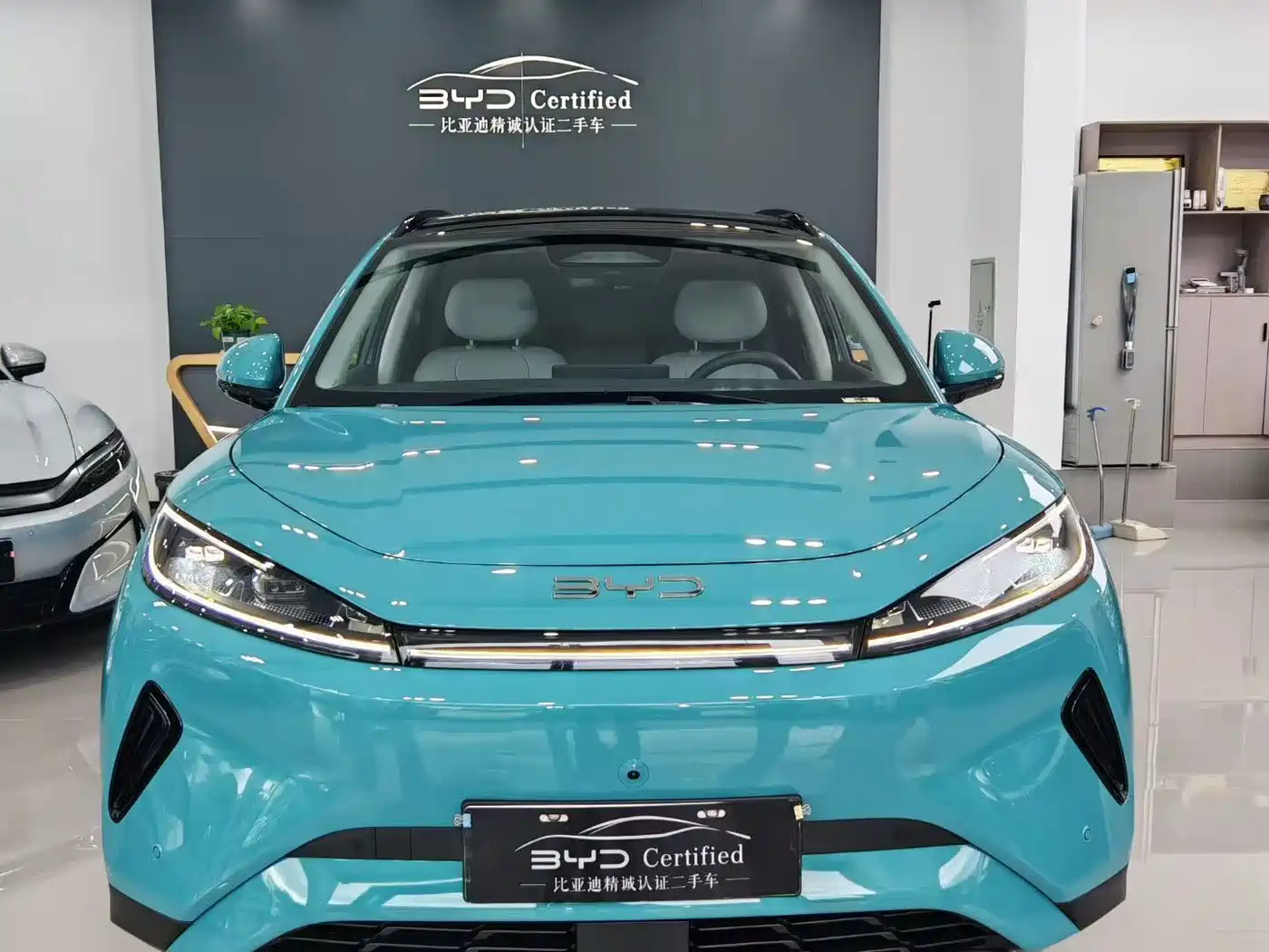 BYD Hai Shi 05 EV 2025 520KM Smart Navigation Edition фото 2