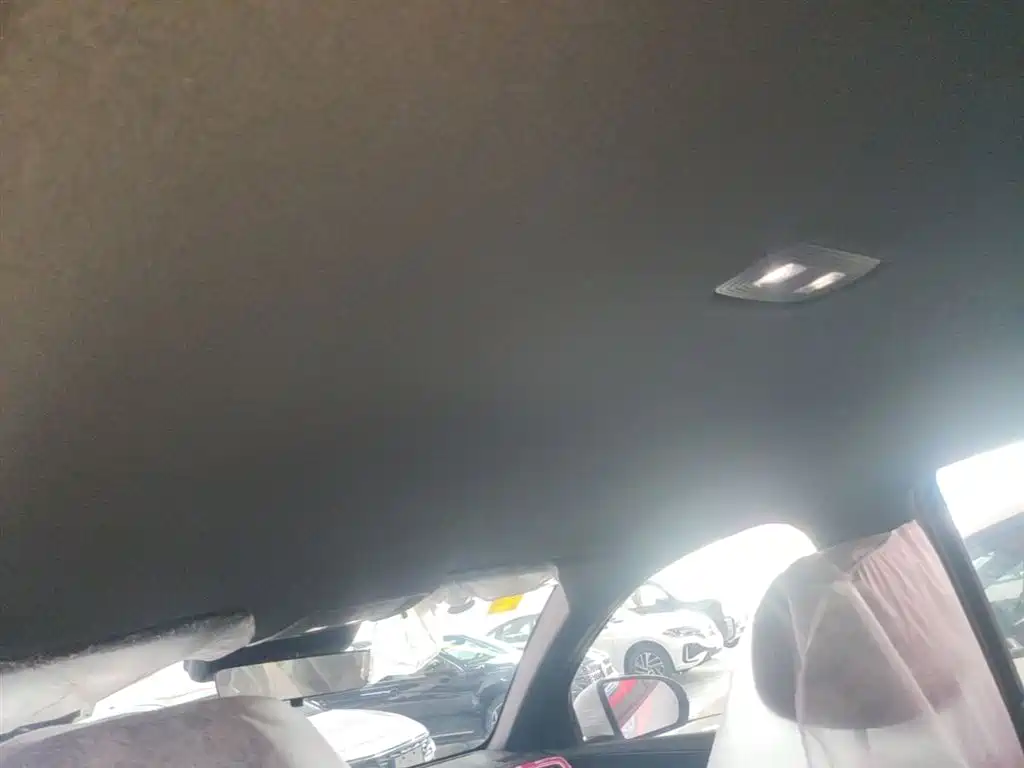 BYD Song Pro New Energy 2026 DM-i 133KM Progressive фото 18