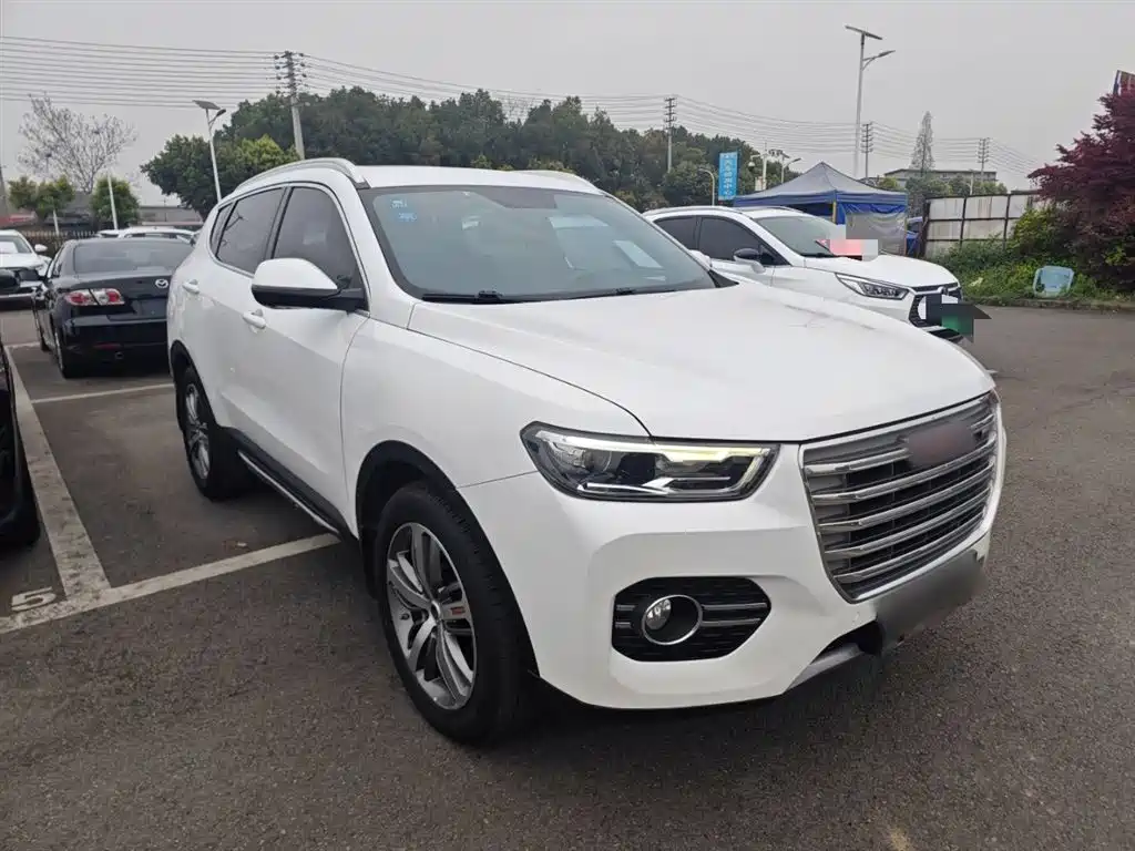 Haval H6 2017 Red Label 2.0T Auto 2WD Smart фото 4