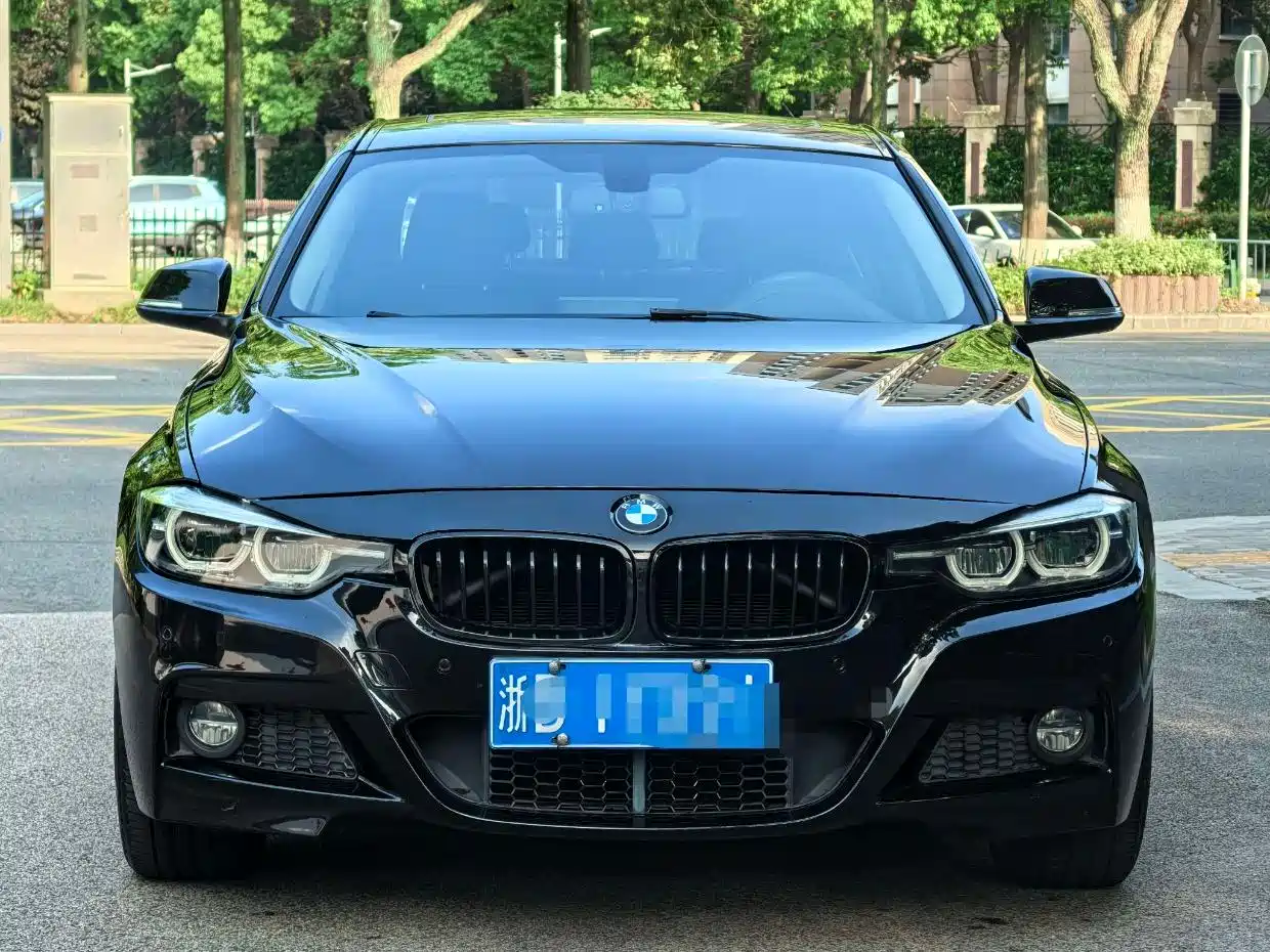 BMW 3 Series 2018 320Li M Sport Black Night Edition фото 2