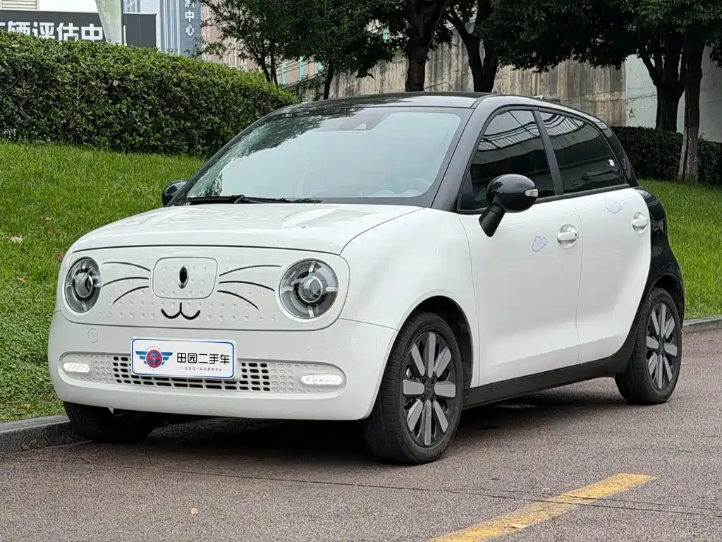  Ora Ora Black Cat 2021 351km Luxury Model