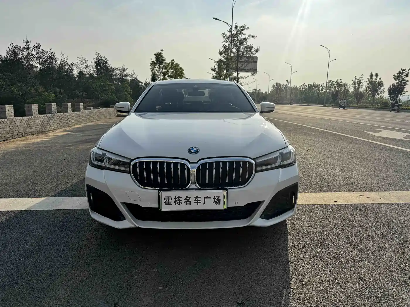 BMW 5 Series New Energy 2021 535Le M Sport Package фото 3