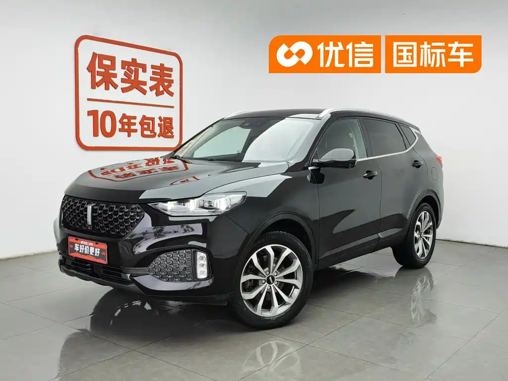 WEY VV6 2020 2.0T 2WD Smart Protection+