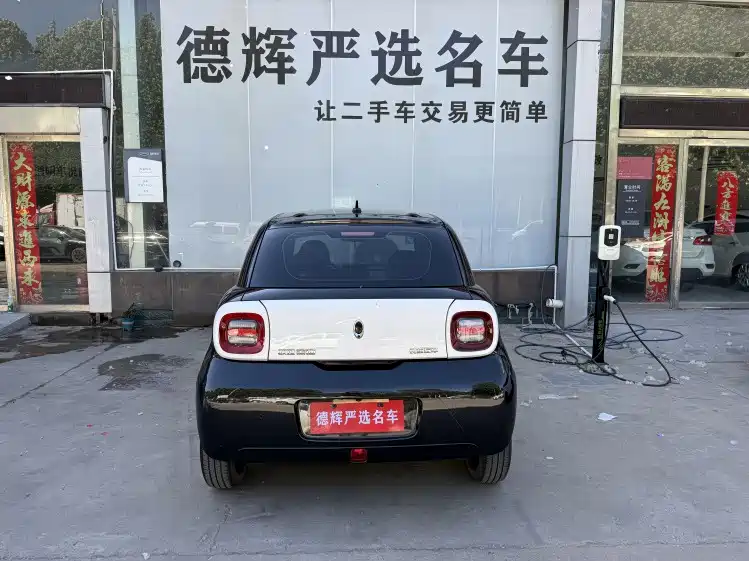 Ora Black Cat 2021 2021 301km Pet Edition