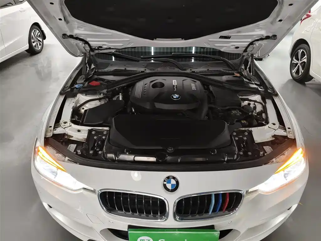 BMW 3 Series 2018 320Li Leading M Sport Package фото 16