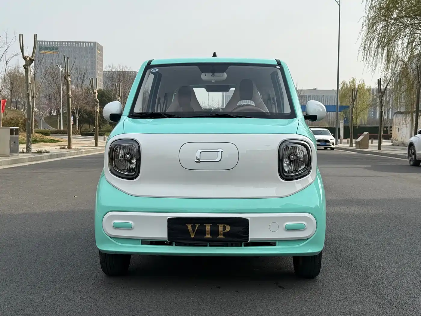 BESTUNE PENTIUM PONY