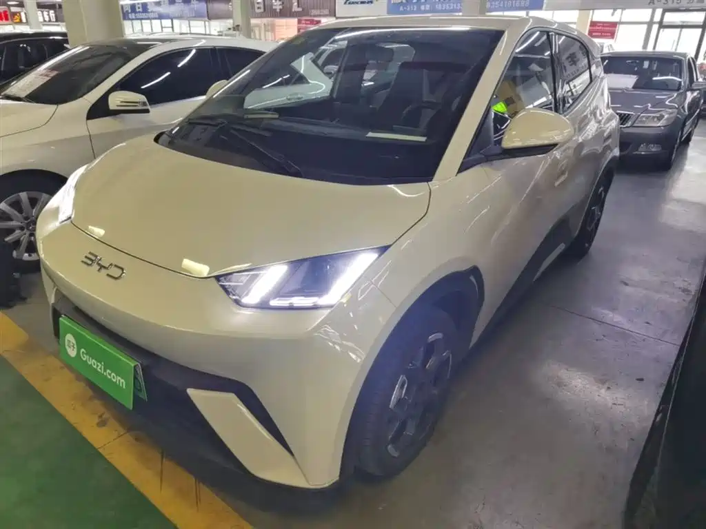 BYD Seagull 2025 305km Freedom