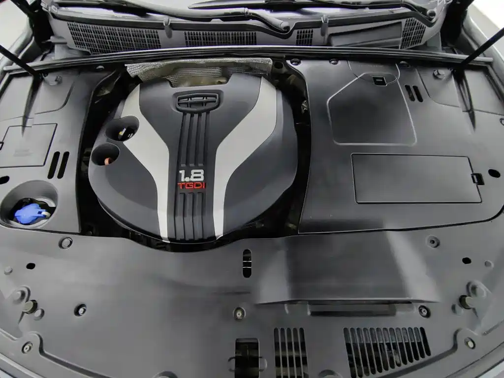Фото 6 - Geely Borui
