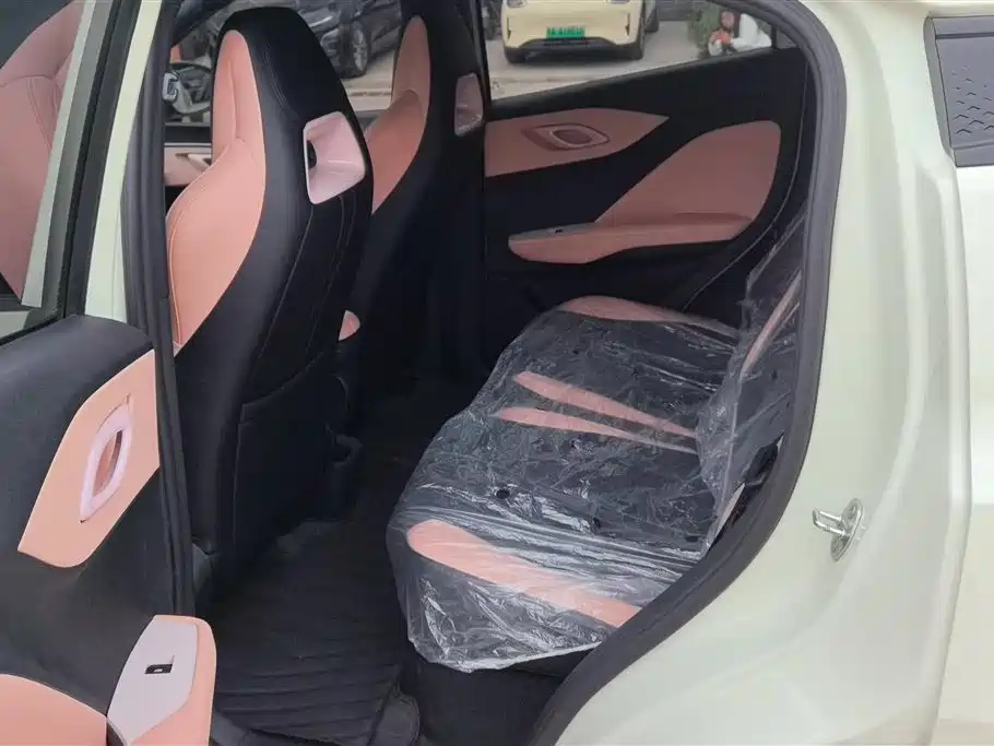 BYD Seagull 2025 Smart Drive Edition 305km Vitality Version фото 11