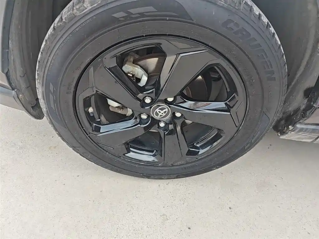 Toyota RAV4 Rongfang 2020 Hybrid 2.5L E-CVT 4WD Elite PLUS фото 25
