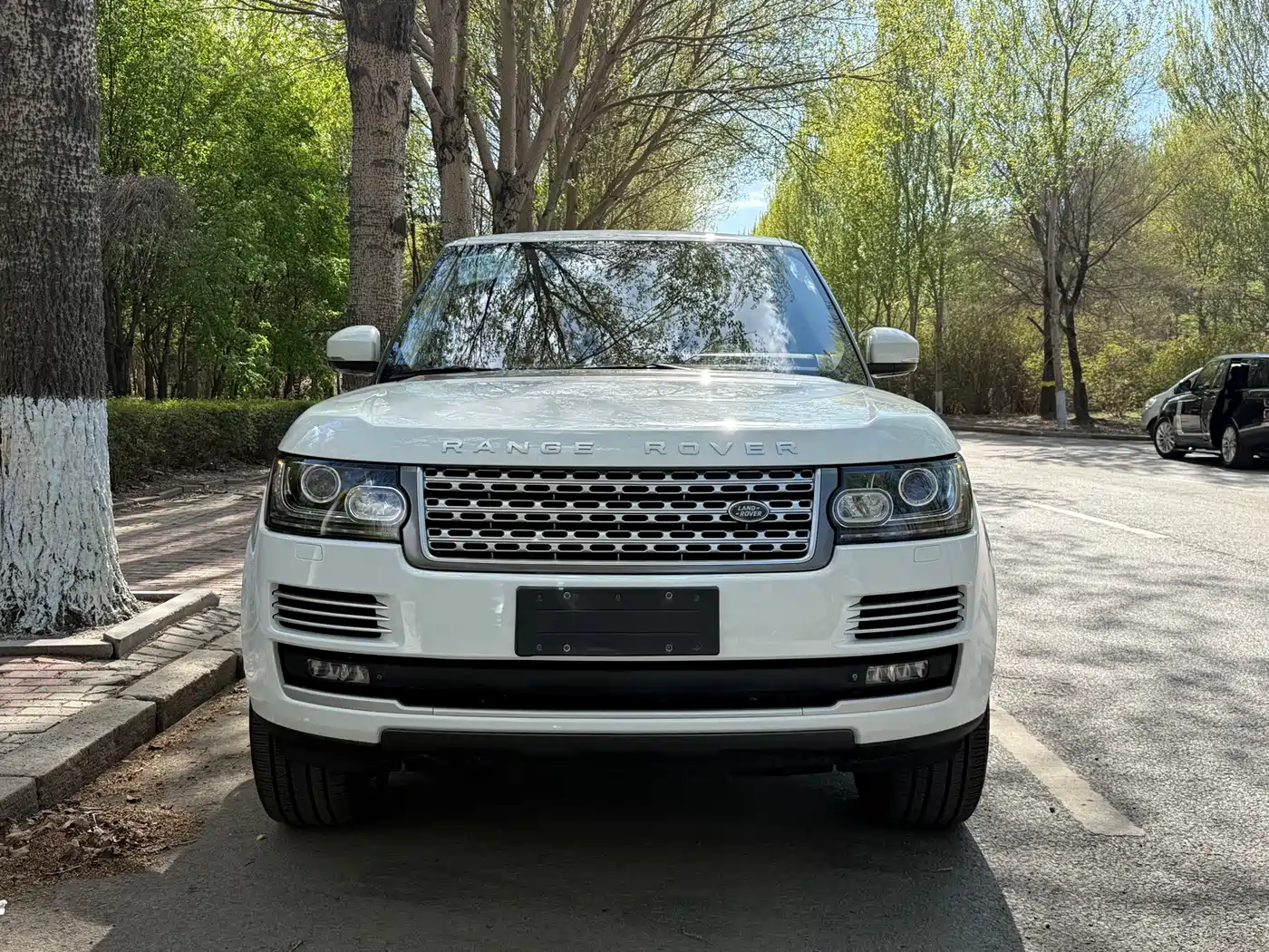Land Rover Range Rover 2013 5.0 SC V8 AB Ultimate Genesis Edition фото 3
