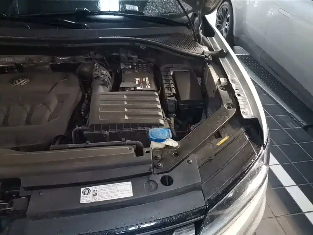 Volkswagen Tiguan L 2020 330TSI Auto 2WD Panorama Comfort China VI фото 22
