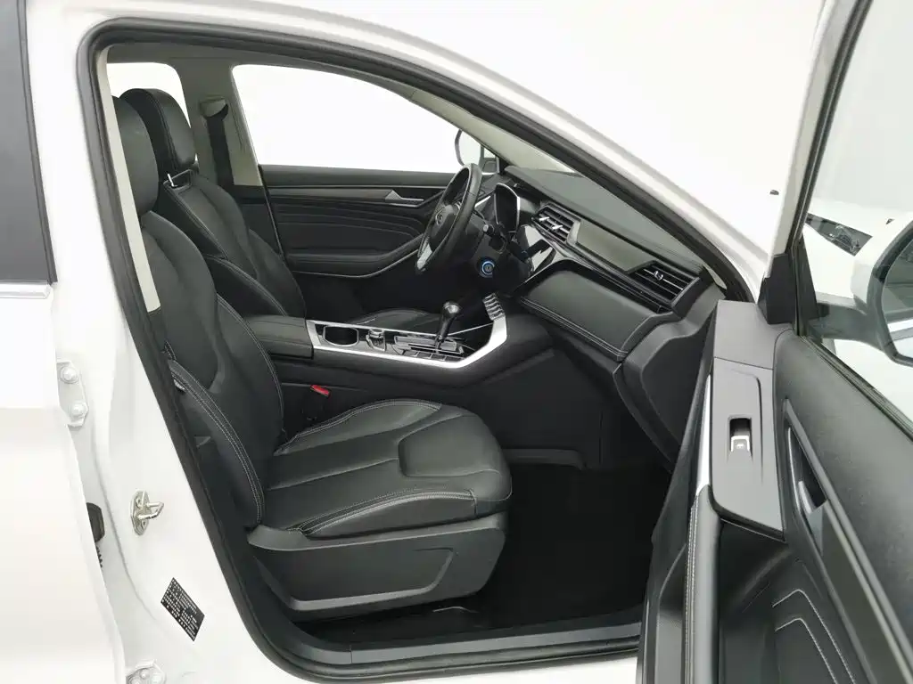 Ford Territory 2019 2019 EcoBoost 145 CVT Platinum Edition China V