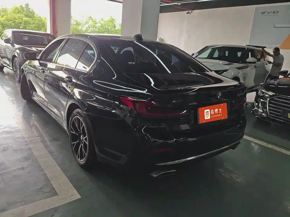BMW 5 Series 2021 530Li Leading Luxury Package фото 7
