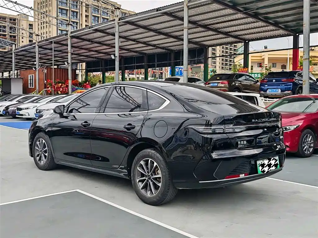 BYD Qin PLUS 2024 Glory Edition DM-i 55KM Leading фото 7