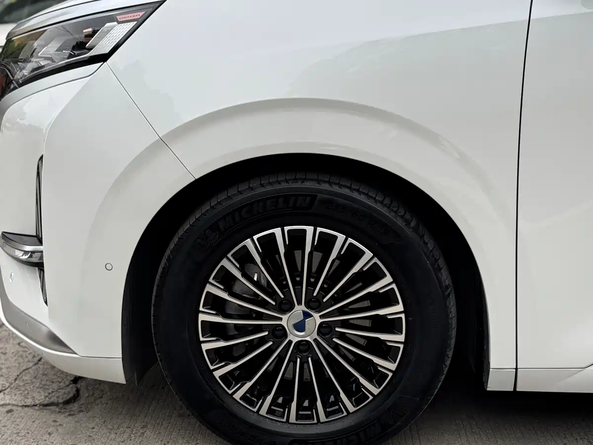 Denza D9 2022 DM-i 970 AWD Flagship фото 15