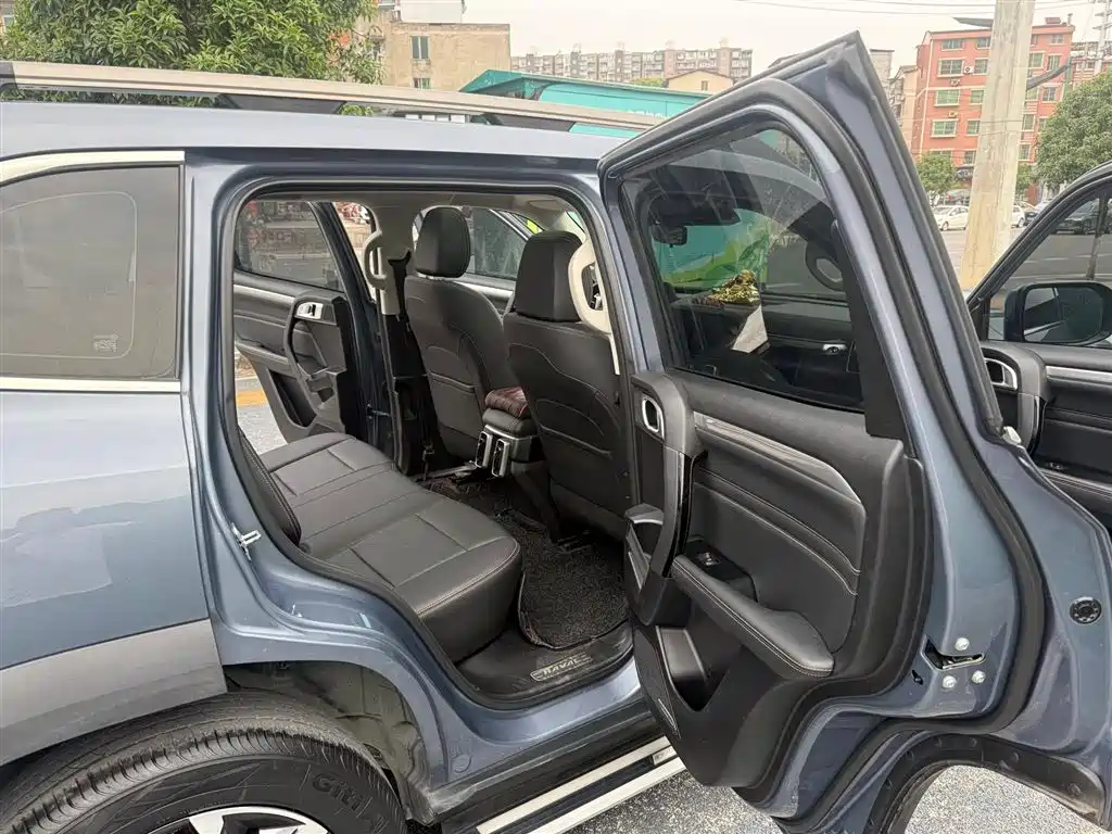 Haval Big Dog 2021 1.5T DCT 2WD Border Collie Edition фото 8