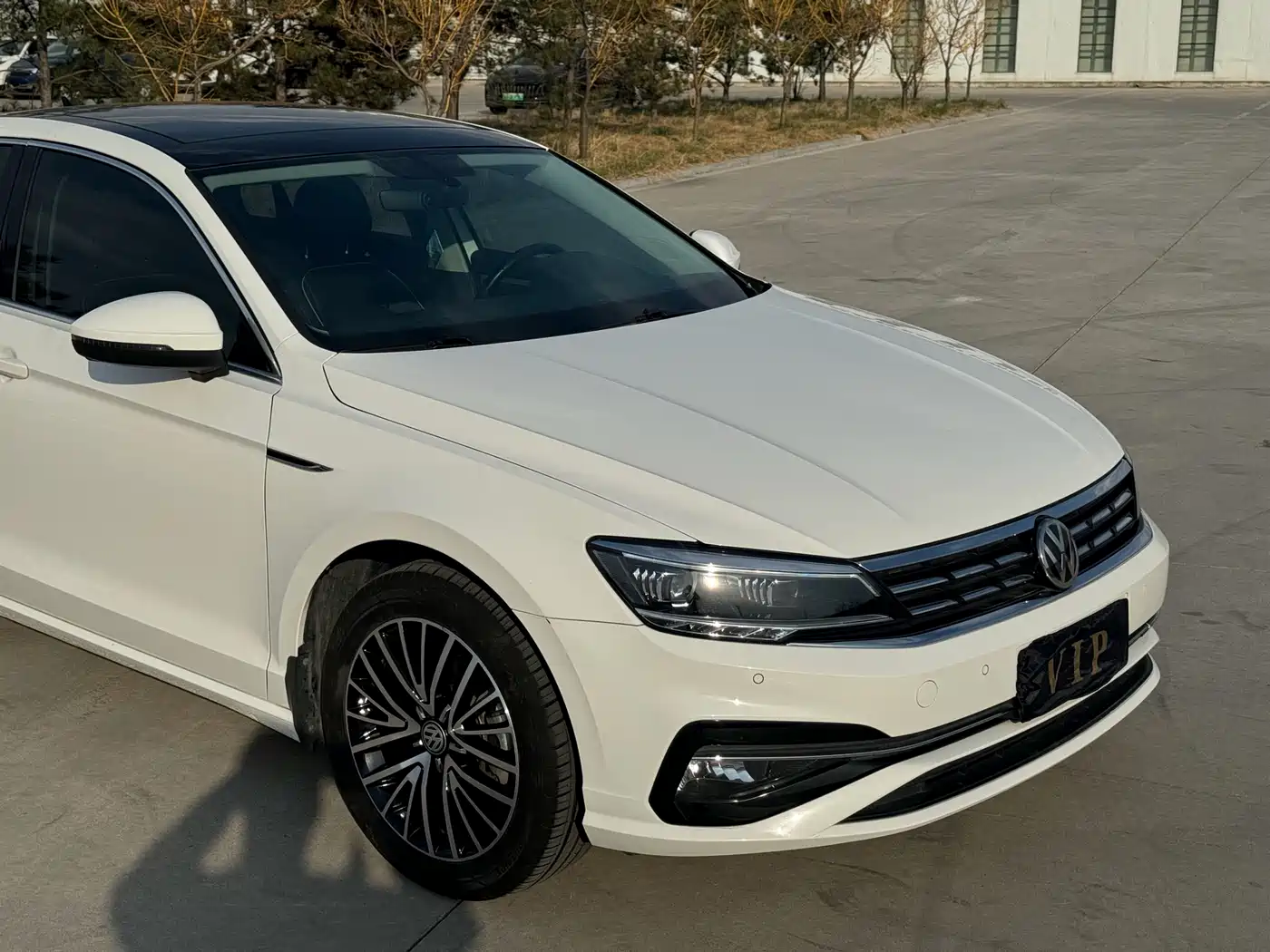 Volkswagen Lamando 2019 280TSI DSG Luxury Edition China VI фото 3
