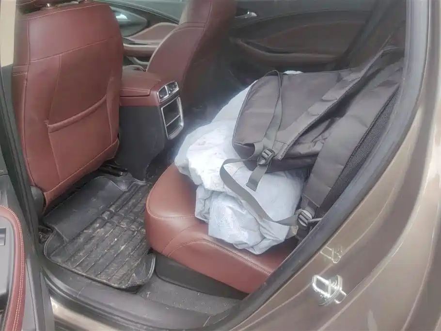 Buick Envision Plus 2016 20T 2WD Elite фото 11