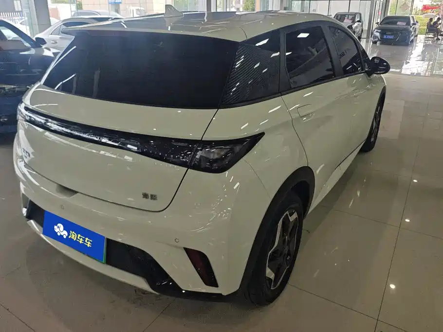 Фото 3 - BYD Dolphin