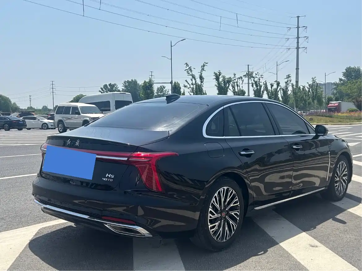 Hongqi H5 2025 2.0T Automatic Flag Celebration 500,000 Units Anniversary Edition фото 9