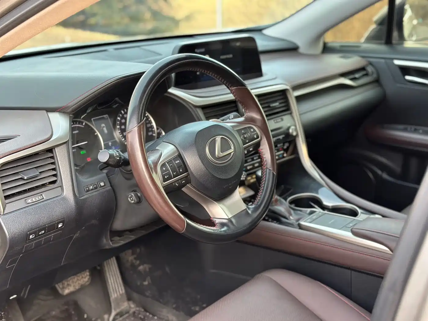 LEXUS RX