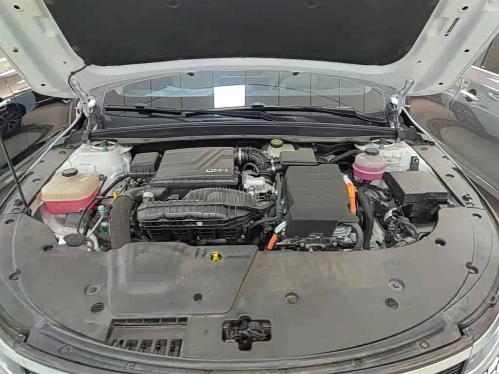 BYD Destroyer 05 2024 Glory Edition DM-i 55KM Luxury фото 20