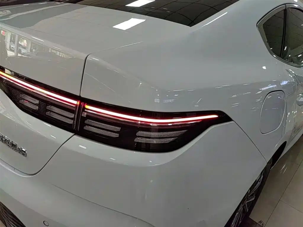 BYD Destroyer 05 2024 Glory Edition DM-i 55KM Luxury фото 8