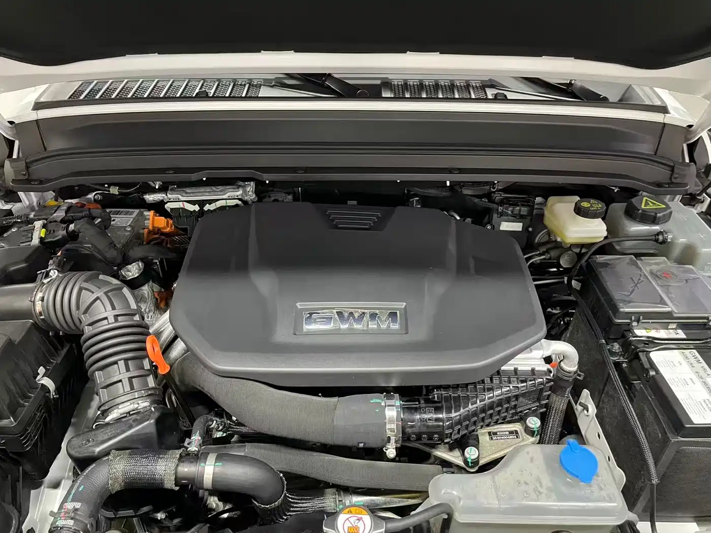 TANK TANK 300 NEW ENERGY