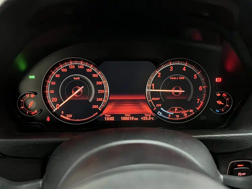 BMW 3 Series 2019 320Li M Sport Black Night Edition фото 11