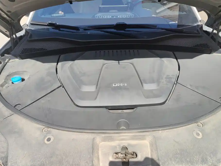 BYD SONGJIANG NEW ENERGY