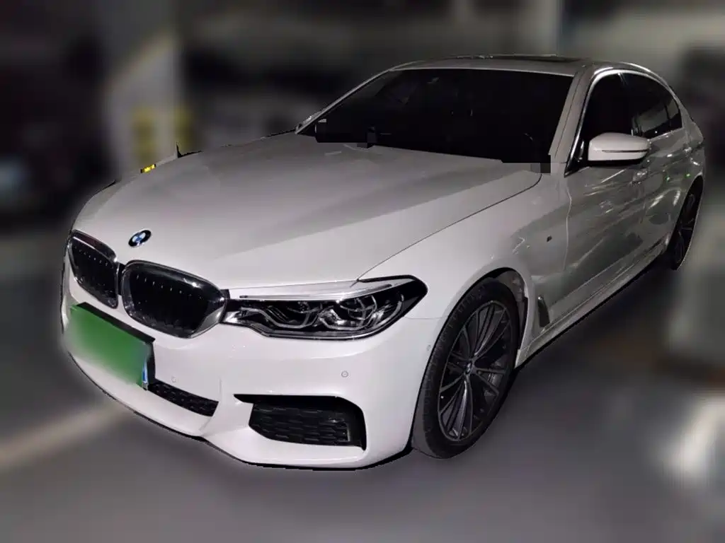 BMW 5 Series 2020 530Li Leading M Sport Package
