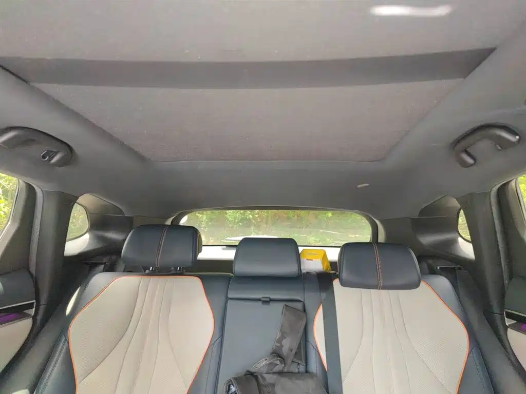 BYD Song PLUS PHEV 2021 EV Flagship фото 9