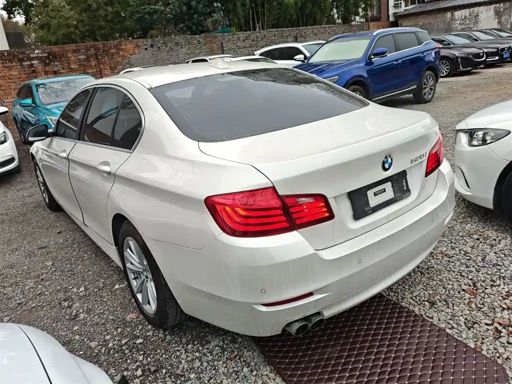 BMW 5 Series (Import) 2015 520i Elegance фото 23
