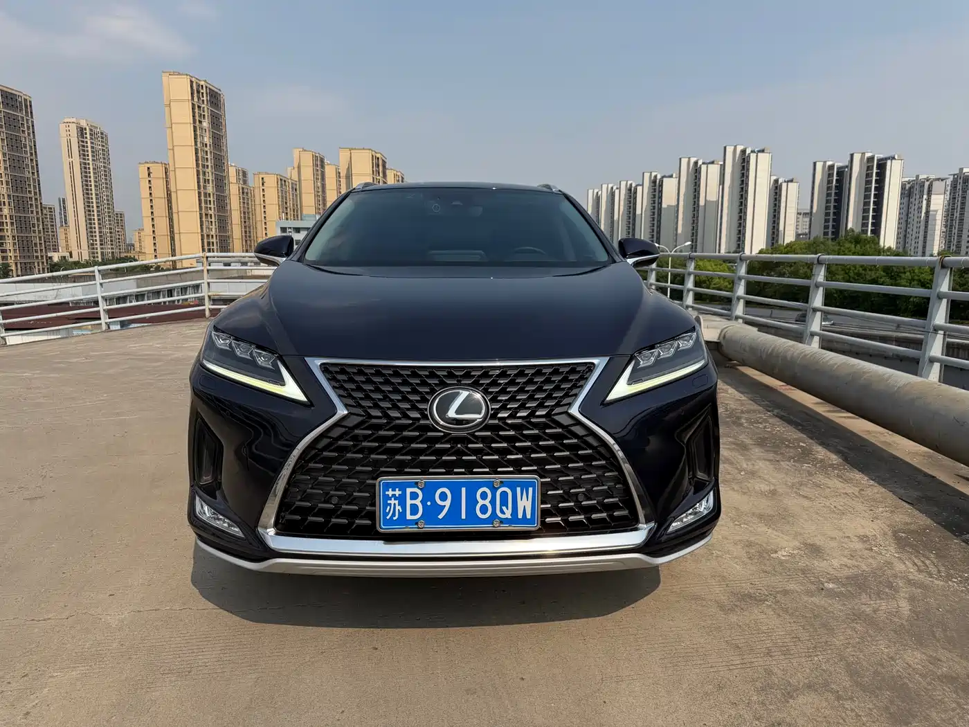 Lexus RX 2020 300 4WD Elegance Edition China VI фото 2