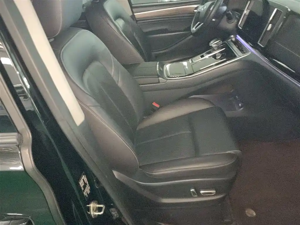 GAC Trumpchi Trumpchi M8 2021 Leading Show Series 390T Ultimate Edition фото 19