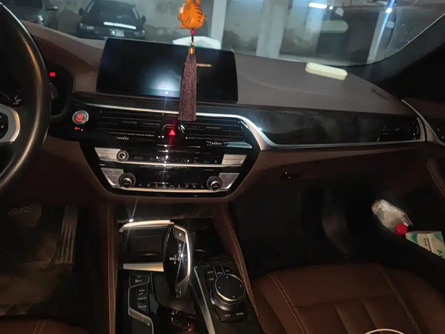 BMW 5 Series 2020 525Li M Sport Package фото 13